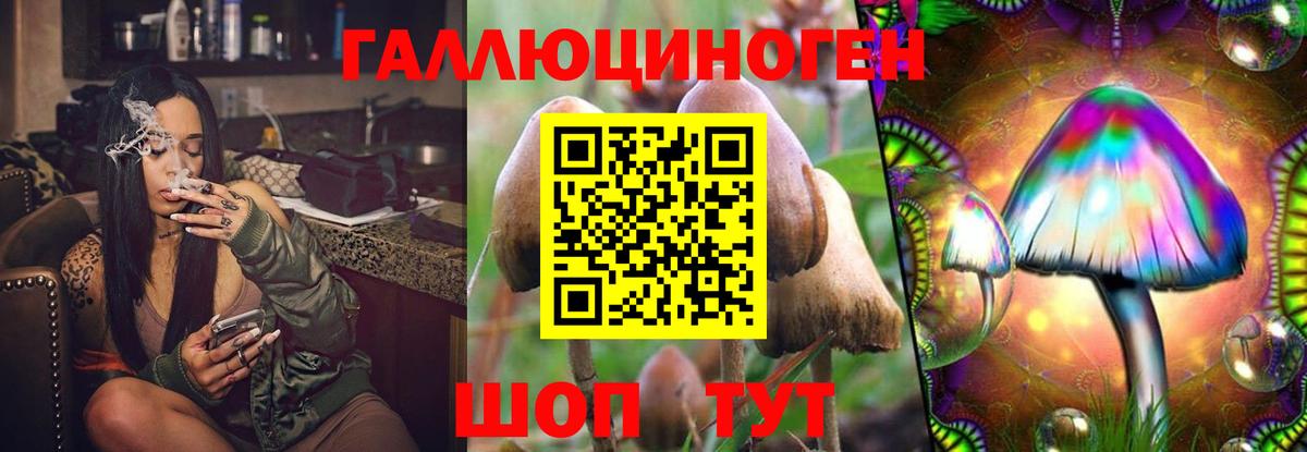 Лосино-Петровский  Псилоцибиновые грибы Psilocybe  Вход с VPN 